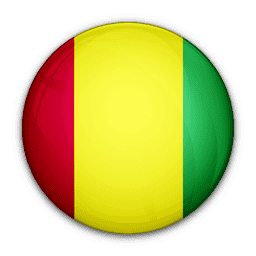 http://www.yallakora.com/Pictures/TeamLogo/Flag%20of%20Guinea14-10-2010-11-12-30.png