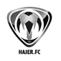 http://www.yallakora.com/Pictures/TeamLogo/hajr8914-5-2011-15-23-14.png