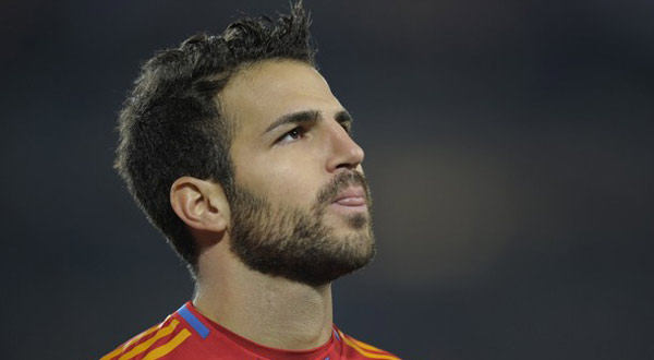 cesc-spain60025-6-2010-14-16-17.jpg